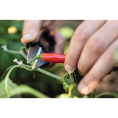 Ножницы для трав и цветов Fiskars Solid SP220 (1063326) Вінниця