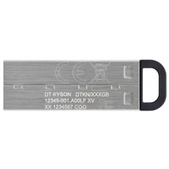 Flash Drives Kingston DataTraveler Kyson 256GB USB 3.2 (DTKN/256GB) Silver/Black (6622890) Конотоп