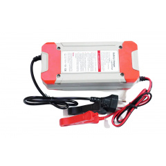 Зарядное устройство для автомобильного аккумулятора RIAS 12V 8A / 24V 4A с LCD экраном (3_02592) Борисполь