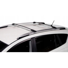 Поперечены на релинги LAND ROVER Discovery mk II SUV 1998-2005 Aguri Prestige Silver Ворожба