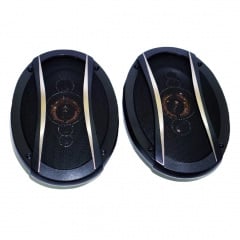 Автомобильные колонки RIAS TS-6996E овалы 6x9 двухполосные 900W (3_03597) Мукачево