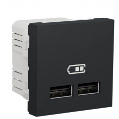 Двойная USB розетка Schneider Electric NU341854 2.1А 2М (антрацит) Якимівка