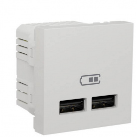Двойная USB розетка Schneider Electric NU341818 2.1А 2М (белая)