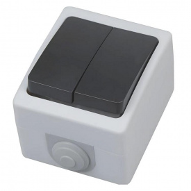 Выключатель накладной двоклавишний Horoz Electric ATOM (112-100-0006-010)