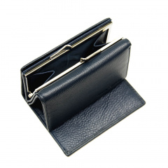 Кошелек женский кожа Berkani Raslav Blue KR116247 Житомир