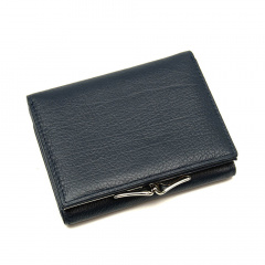 Кошелек женский кожа Berkani Raslav Blue KR116247 Житомир