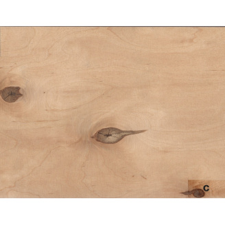 Фанера ФК 2500x1250x10 мм 4/4 (C/C) ЕКО ЛІС (власне виробництво)