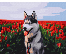 Картина за номерами BrushMe 