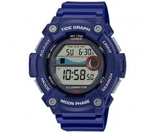 Годинник CASIO WS-1300H-2AVEF