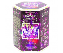 Детский набор для опытов GROWING CRYSTAL Danko Toys GRK-01 укр (Amethyst)