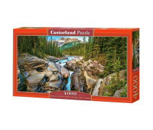 Пазли Castorland 