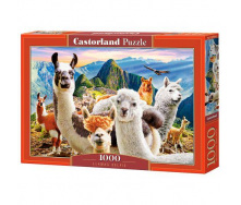 Пазли Castorland 