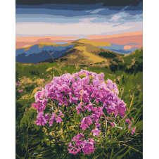 Картина за номерами BrushMe "Цвітіння Карпат © Roksolana Baran" 40х50см BS53750