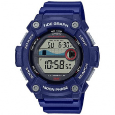 Годинник CASIO WS-1300H-2AVEF
