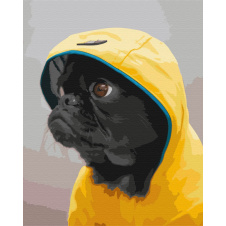 Картина за номерами BrushMe "Мопс у худі" 40х50см BS52614
