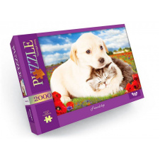 Пазли Дружба 2000 елементів Dankotoys (C2000-01-09)