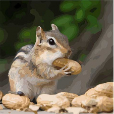 Картина за номерами Art Craft Крихітка бурундук 40 * 40 см 11610-AC