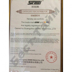 Чоловічий наручний годинник Skmei Robby Steel 0992S Сріблястий Мелитополь