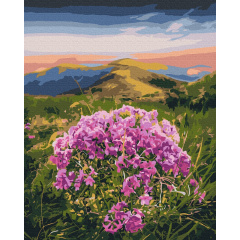 Картина за номерами BrushMe "Цвітіння Карпат © Roksolana Baran" 40х50см BS53750 Чернигов