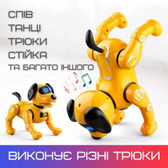 Іграшка робот собака KOOQI на Радіокеруванні Трюкова з Голосовим Супроводом (537) Городок