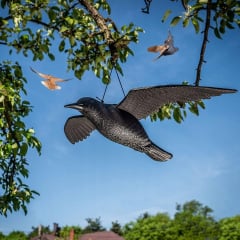 Ворон Chomik для відлякування птахів із крилами 61х44 см Чорний Южноукраинск