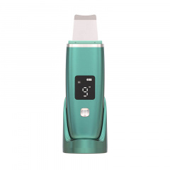 Скрабер ультразвуковий Inspire Ultrasonic PL-C01 Green Приморськ