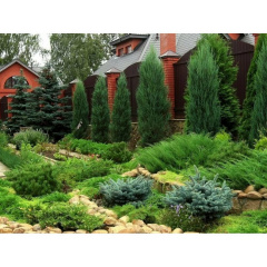 Добриво-підкислювач Майстер Florcolor 25 г Киев