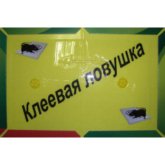 Клейова пастка для мишей Catch Expert (hub_dz5dhj) Покровськ