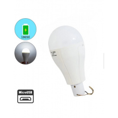 Акумуляторна лампочка OKGO FA-3820 20W P920 Володарськ-Волинський