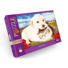 Пазли Дружба 2000 елементів Dankotoys (C2000-01-09) Бровары