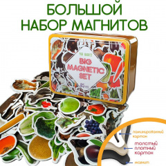 Набор Mic магнитов Детский мир 85 шт (ML4031-61 EN) Білгород-Дністровський