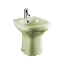 Біде підлогове RAK Ceramics Compact RAK0001 Зелений (1704938057) Нововолынск