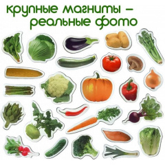 Набір магнітів "Овочі" Magdum ML4031-12 EN Ізмаїл