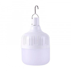 Лампочка акумуляторна ANbeauty 40W переносна для кемпінгу для читання туризму (AN0103115) Кропива