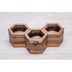 Шкатулка для зберігання наручних годинників ecoWalnut 7.8х27.1х14.1 см Львів