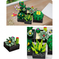 3D-конструктор Jie Star 9011 Botanical Garden Succulent 590 деталей 13218-84630 Веселе