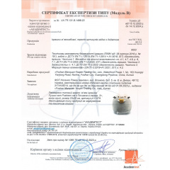 Комплект 2Life Pusheen cat 12х15 см та сумка 38х35 см v-12385 Городок