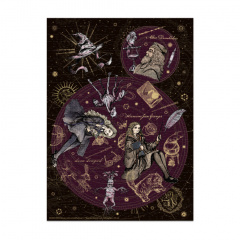 Пазл класичний "Harry Potter. Лідер. Перфекціоністка. Надзвичайна" DoDo Toys 200507 500 елементів Умань