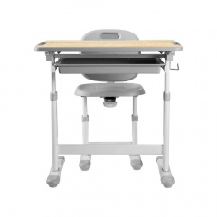 Дитячий комплект меблів FunDesk Piccolino III Сірий (1315568933) Акимовка