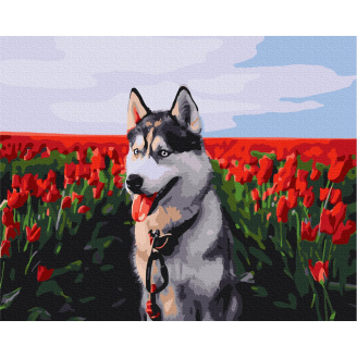 Картина за номерами BrushMe 