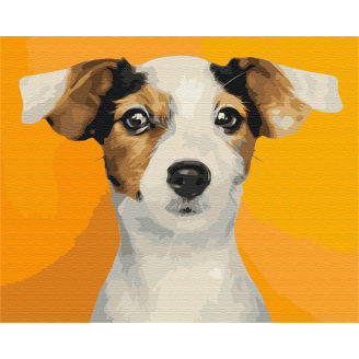 Картина за номерами BrushMe 