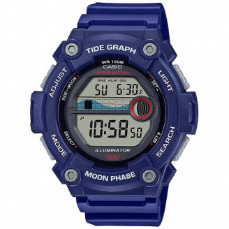 Годинник CASIO WS-1300H-2AVEF