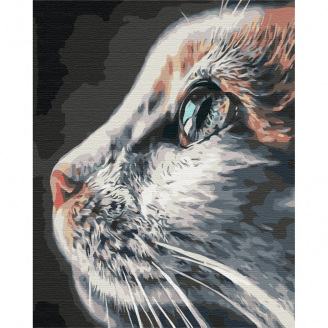 Картина за номерами Котопрофіль Brushme BS51792 40х50 см