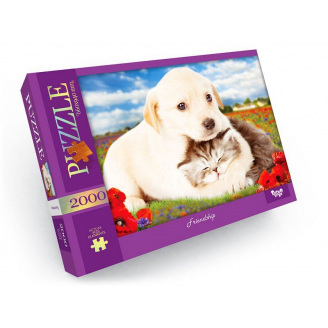 Пазли Дружба 2000 елементів Dankotoys (C2000-01-09)