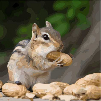 Картина за номерами Art Craft Крихітка бурундук 40 * 40 см 11610-AC