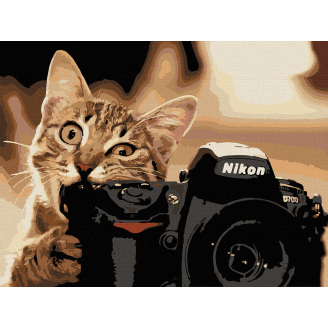 Картина за номерами Art Craft Пухнастий фотограф 40*50 см 11608-AC