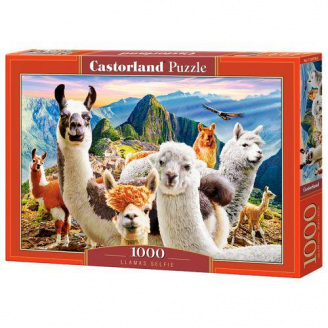 Пазли Castorland 