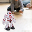 Танцюючий робот на радіокеруванні OPT-TOP Robot-Q9 (2067337616) Тернопіль