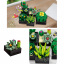 3D-конструктор Jie Star 9011 Botanical Garden Succulent 590 деталей 13218-84630 Веселе