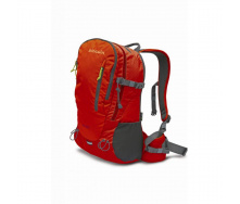 Рюкзак Pinguin Step 24 2020 Red (1033-PNG 326130)